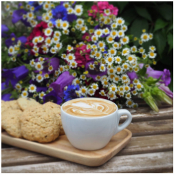 Neděle...
#dobrerano
#rannikava
#vikend
#snidane #jidlo #kava #dort #cappuccino #dianatvorila #cookies
#morning #breakfasttime #breakfast #breakfastlover #weekend #food #foodstagram #instafood
#kavarna #tritecky #skodanezajit