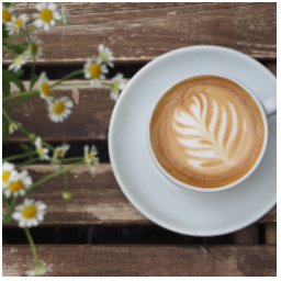 Týden začíná u nás ...
#dobrerano #kava #rannikava #cappuccino #kavarna #tritecky #skodanezajit