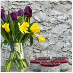 Chia puding s malinami ????
- bez lepku
- vegan 

#flowers #jaro #spring #colours #chia #chiapudding #maliny #rasberries #sweet #bezlepku #ochutnej #coffee #coffeetime #coffeelover #timetravel #mladaboleslav #oldtown #staremesto #kavarna #tritecky #skodanezajit