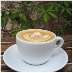 Na espresso mlýnku můžete ochutnat Ugandu s chutí rybízu, vanilky a kakaových bobů a na filtru Etiopii s chutí nektarinek, limetového cheescaku a černého čaje od @candycanecoffee 

#specialtycoffee #barista #coffee #morningcoffee #mondaymorning #kavarna #tritecky #skodanezajit