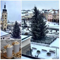 ... a už i nasněžilo????
Všechno se tu chystá na neděli, na slavnostní rozsvěcení vánočního stromu????
...začíná v 17 hod na Staroměstském náměstí ????

#mladaboleslav #staremesto #staromestskenamesti #advent #snih #winter #snow #christmastree #christmas #caffelatte #almond #kava #pernicek #gingerbread #coffee #stromecek #vanoce #kavarna #tritecky #skodanezajit