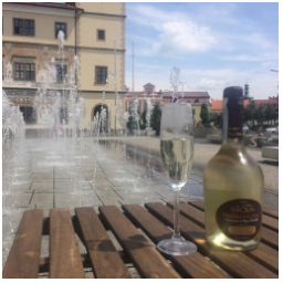 Den jako stvořený pro Prosecco!????
.
.
#prosecco #villamiazzi #bestintown #proseccotime #water #refreshment #vodotrysky #sunnyday #velikonoce #instaprosecco #easterprosecco #coffeeculture #bublinky #vikend #volno #relax_time #chill #zahradka #staromestskenamesti #prochazka #mladaboleslav #staremesto #mojemesto #kavarna #tritecky #skodanezajit