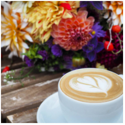 Týden začíná u nás ...
#dobrerano 
#pondeli
#rannikava
#mladaboleslav #staromestskenamesti #staremesto #kava #cappuccino #morningcoffee #latteart #monday #mondaymood #goodmorning #coffee #coffeetime #coffeewithmilk
#kavarna #tritecky #skodanezajit